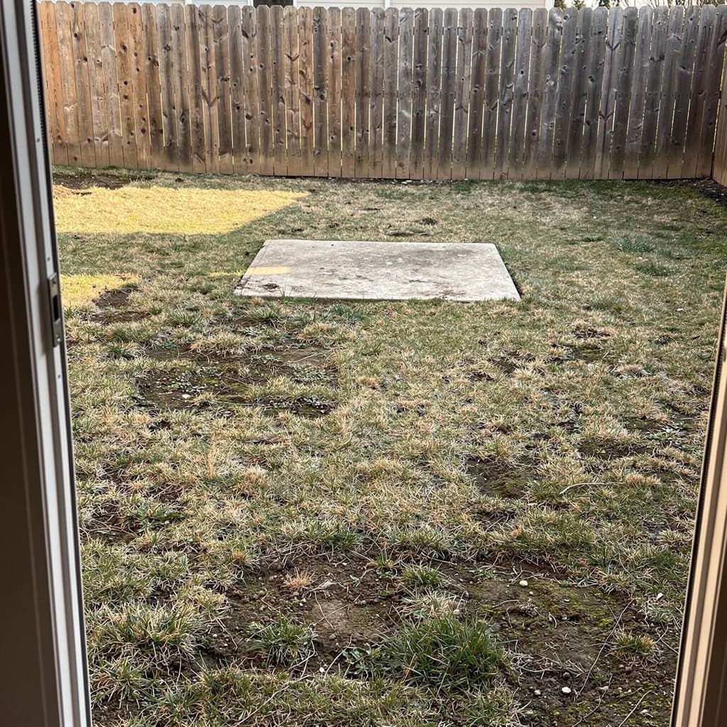 Room before Garden Oasis redesign